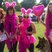 16. Race for Life - Brentwood