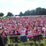 22. Race for Life - Brentwood