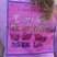 101. RFL Swindon Lydiard Park Sunday 55