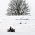 39. Winter Wonderland