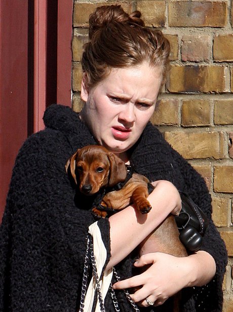 Adele smothering her sausage dog Louie