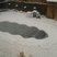 67. Frozen Swimming Pool, Northampton