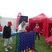 50. Heart at The Royal Bath & West Show Thursday 59