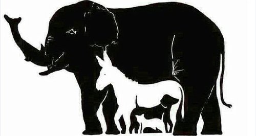 hidden elephant animal Optical illusion