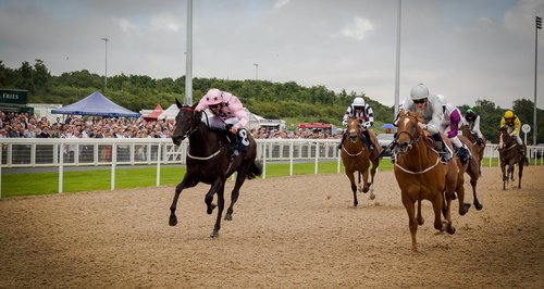 Newcastle Racecourse