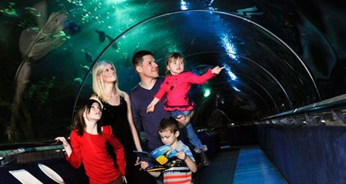 Deep Sea World